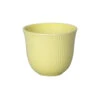 Embossed Tasting Cup Sand 250 Ml